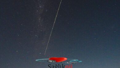 Photo of Japonya’nın Bir Asteroide Yolculuğu Avustralya’nın Taşrasında Bir Avlanmayla Sona Erdi