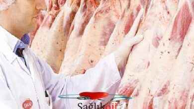 Photo of DANET’ten Sıcak Havalarda Et ve Et Eserleri için Saklama ve Pişirme Teklifleri