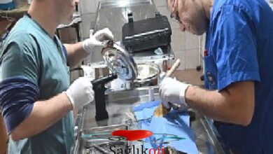 Photo of Kemer Belediyesi’nden “Can dostlarına” yardım eli