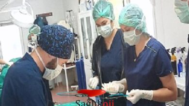 Photo of Geleceğin veteriner doktorlarına uygulamalı eğitim